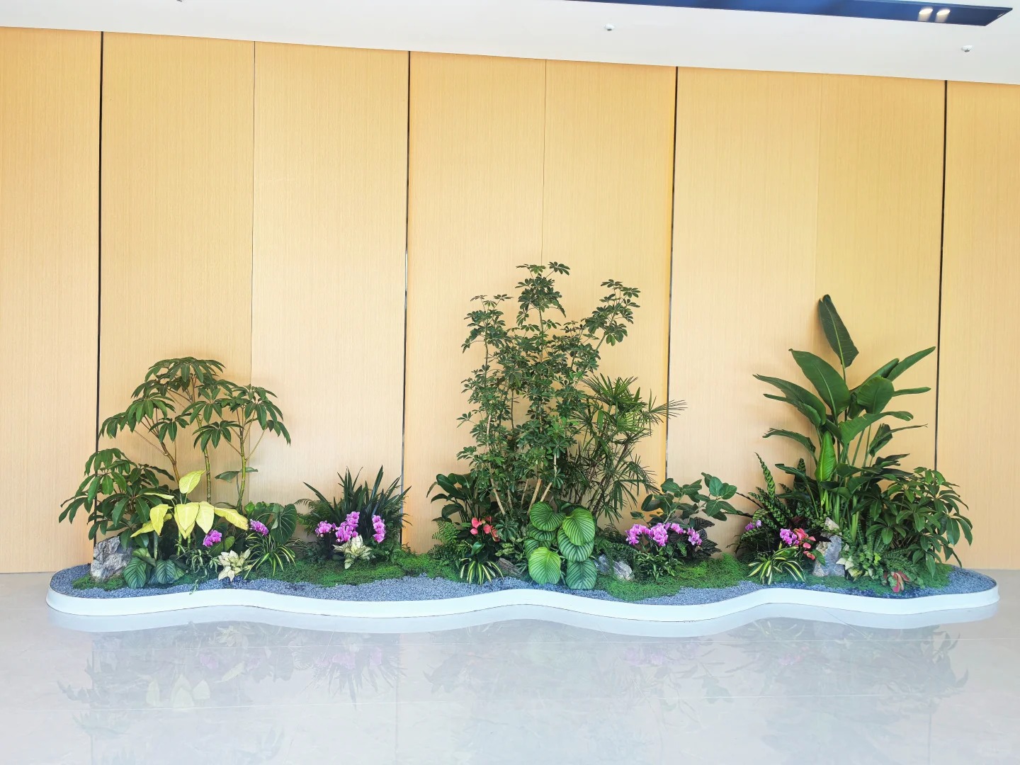 专业绿植出租,宁波余姚的绿色空间缔造者